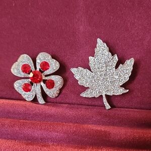 Silver and Red Crystal Brooch Set with Floral and Leaf Designs